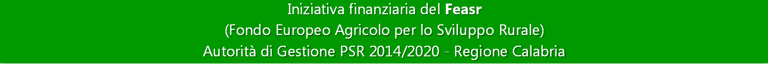 FEASR 2